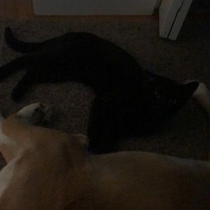 Meet your Posher, Doreen